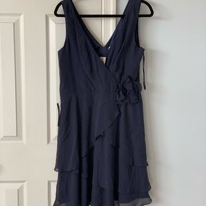 Ann Taylor Dress